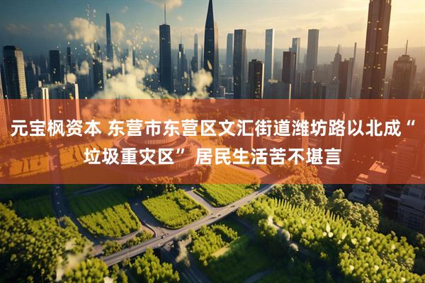 元宝枫资本 东营市东营区文汇街道潍坊路以北成“垃圾重灾区” 居民生活苦不堪言