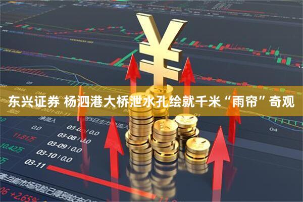 东兴证券 杨泗港大桥泄水孔绘就千米“雨帘”奇观