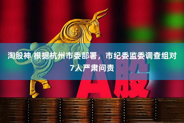 淘股神 根据杭州市委部署，市纪委监委调查组对7人严肃问责