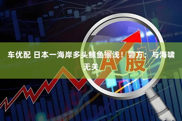 车优配 日本一海岸多头鲸鱼搁浅！警方：与海啸无关
