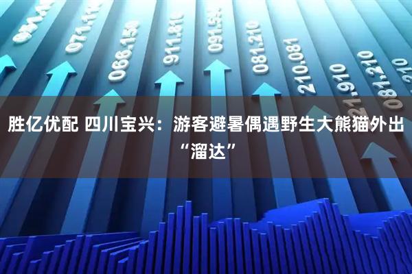 胜亿优配 四川宝兴：游客避暑偶遇野生大熊猫外出“溜达”