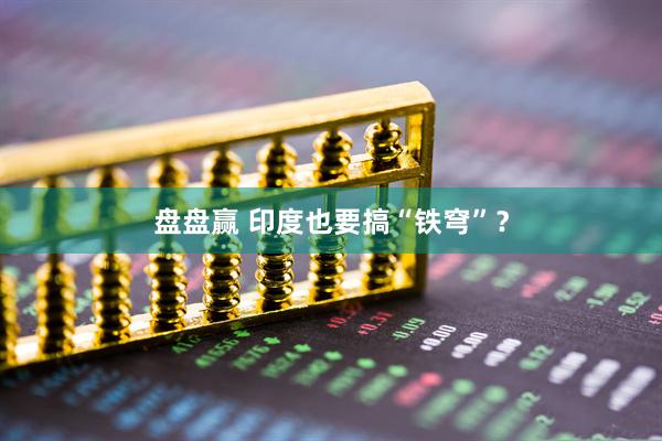 盘盘赢 印度也要搞“铁穹”？