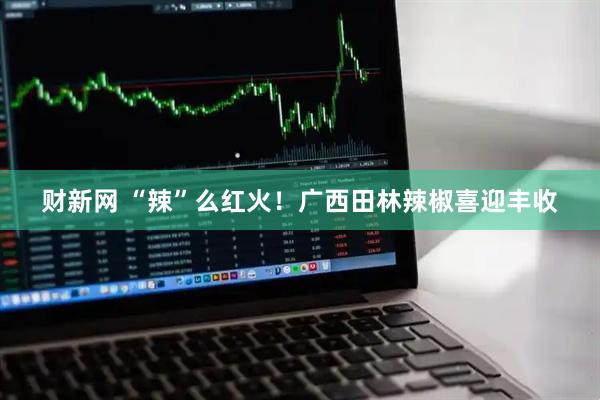 财新网 “辣”么红火！广西田林辣椒喜迎丰收