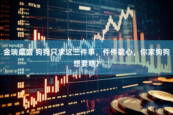 金瑞鼎盛 狗狗只求这三件事，件件戳心，你家狗狗想要啥？