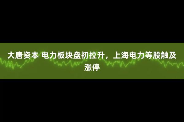 大唐资本 电力板块盘初拉升，上海电力等股触及涨停
