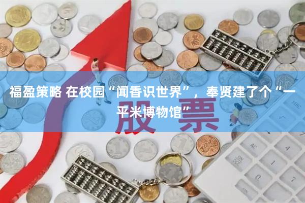 福盈策略 在校园“闻香识世界”，奉贤建了个“一平米博物馆”