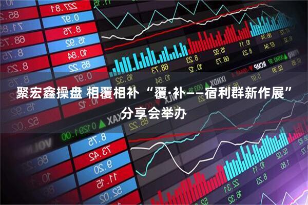 聚宏鑫操盘 相覆相补 “覆·补——宿利群新作展”分享会举办
